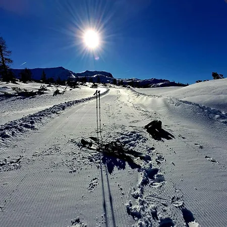 Mountainlove * 스트로블